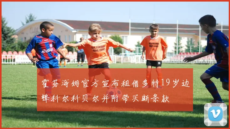 霍芬海姆官方宣布租借多特19岁边锋科尔科贝尔并附带买断条款