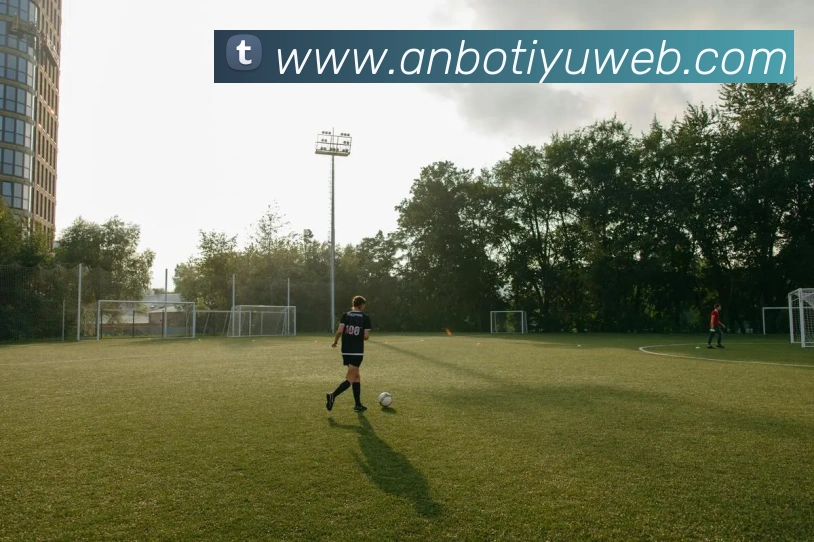 安博体育服务体系